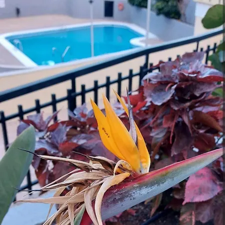 公寓 Balcon Atlantida